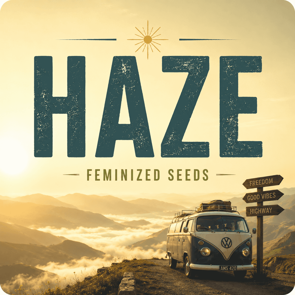 Haze Feminized Seeds