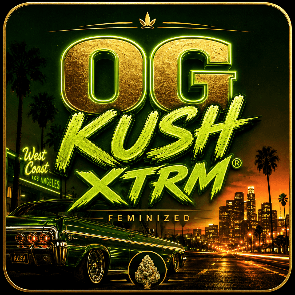 OG Kush XTRM ® Feminiserade frön