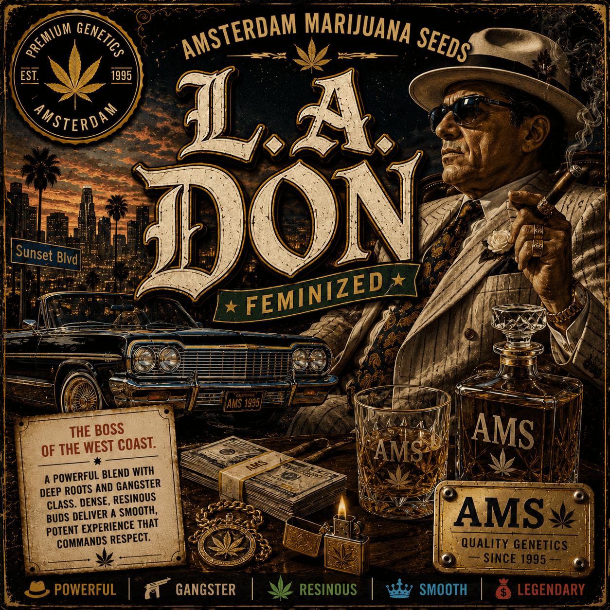 L.A. Don Feminized Seeds