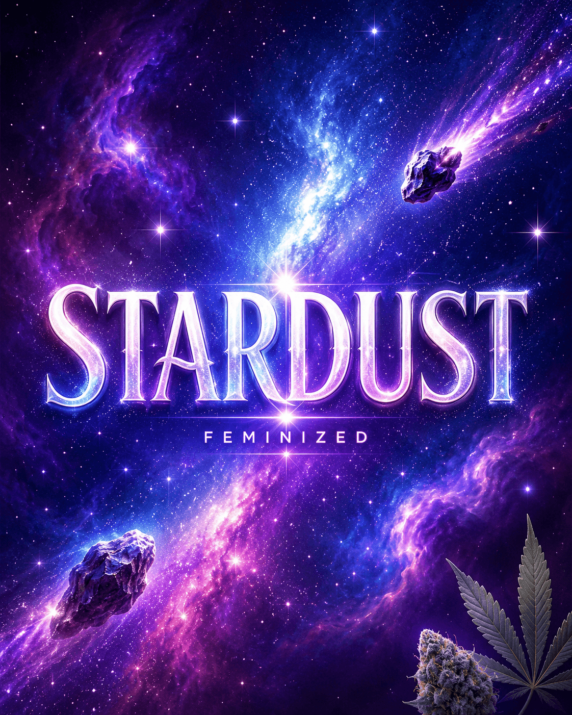 Stardust Feminiserade frön