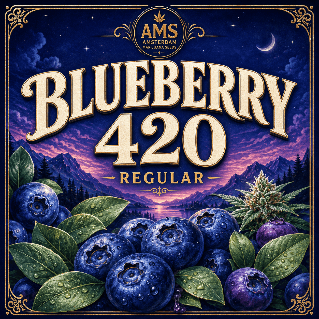 Blueberry 420 Regular Seeds