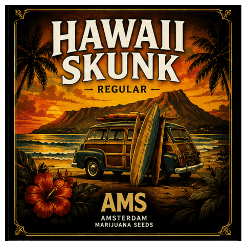 Hawaii Skunk Regular Seeds
