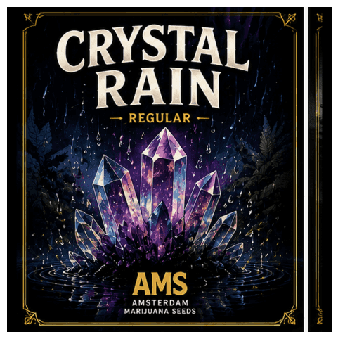 Crystal Rain Regular Seeds