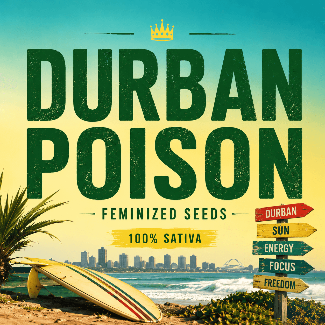 Durban Poison Feminized Seeds - photo 3