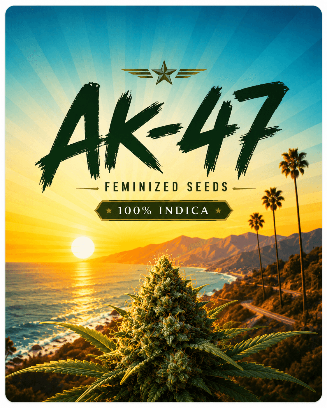 Graines de marijuana féminisées AK 47 XTRM ® - photo 4