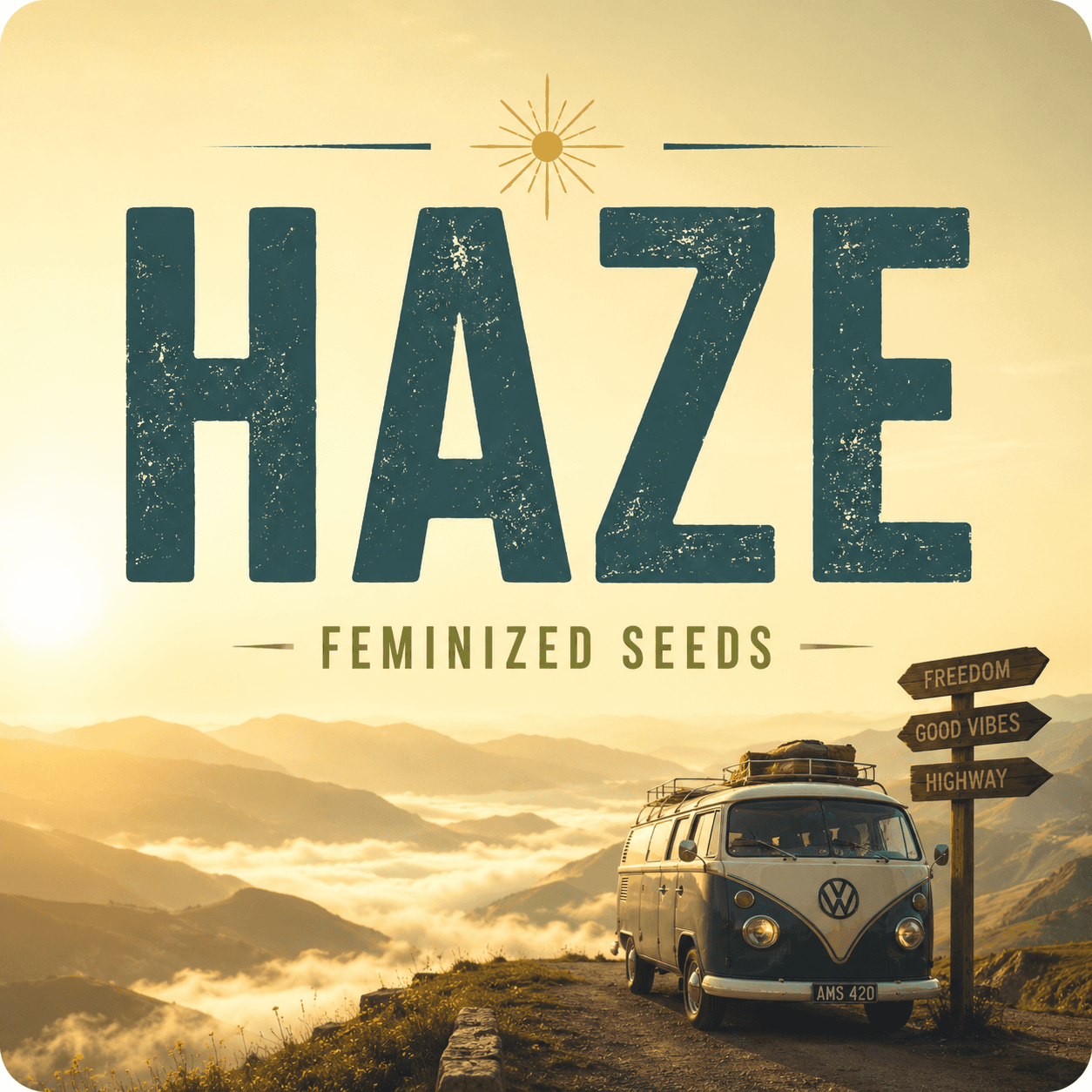 Haze Feminiserade frön - photo 3