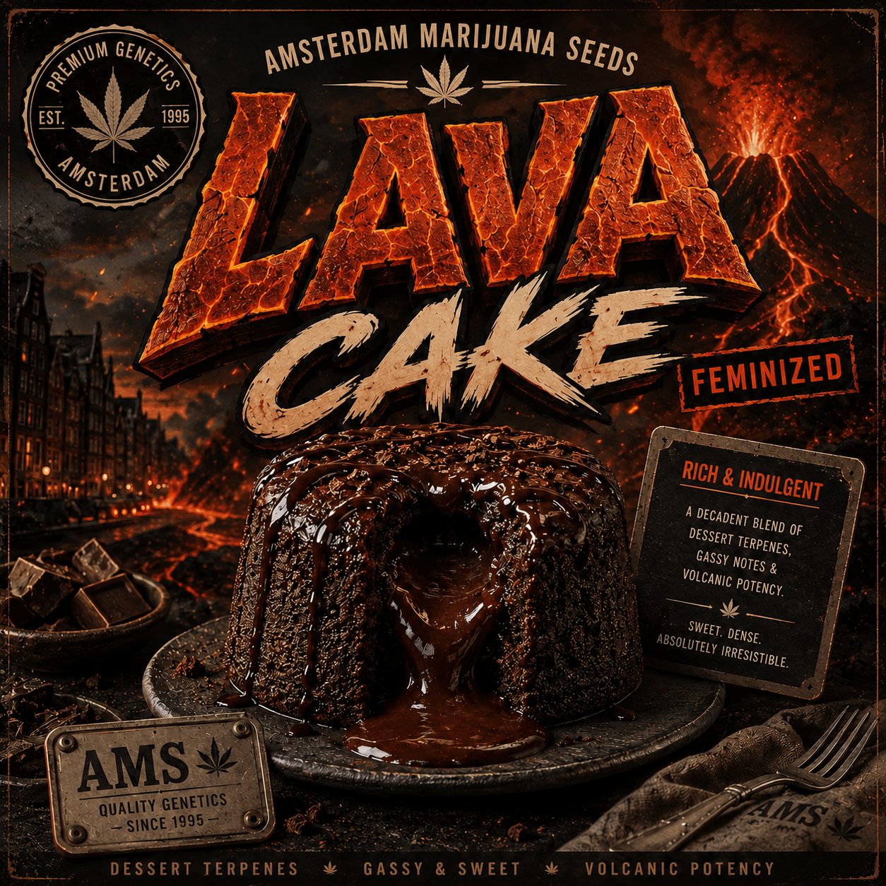 Lava Cake Feminiserade frön - photo 3