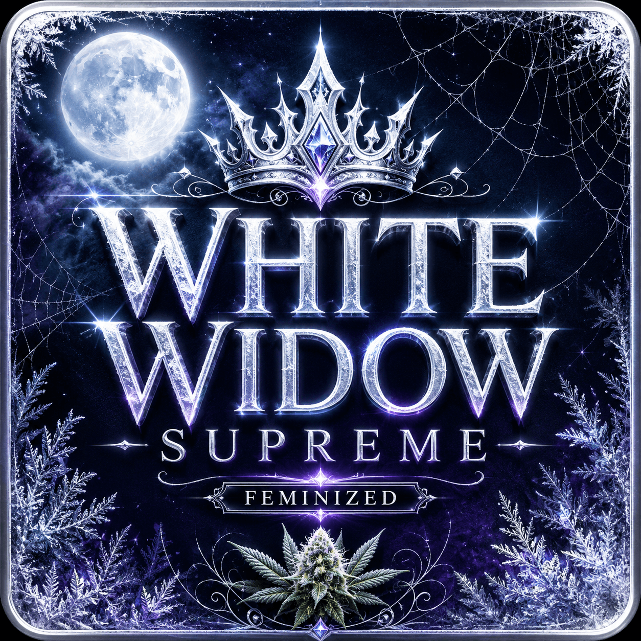 Graines féminisées White Widow Supreme - photo 4