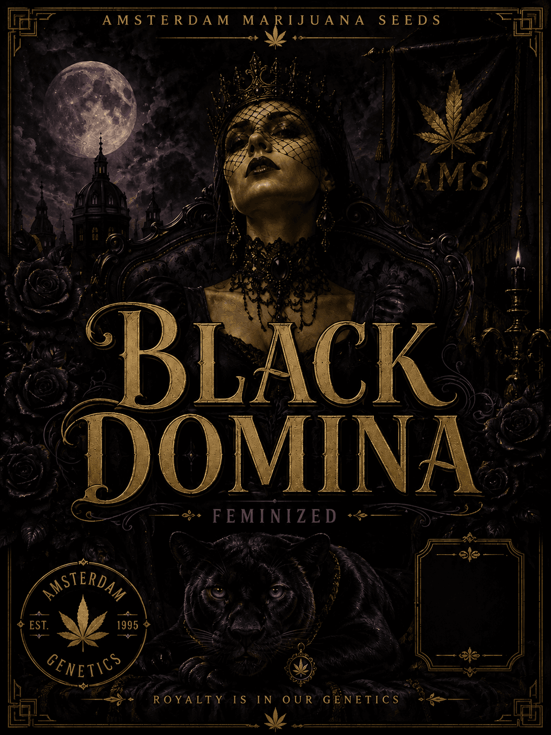 Black Domina Feminiserade frön - photo 6