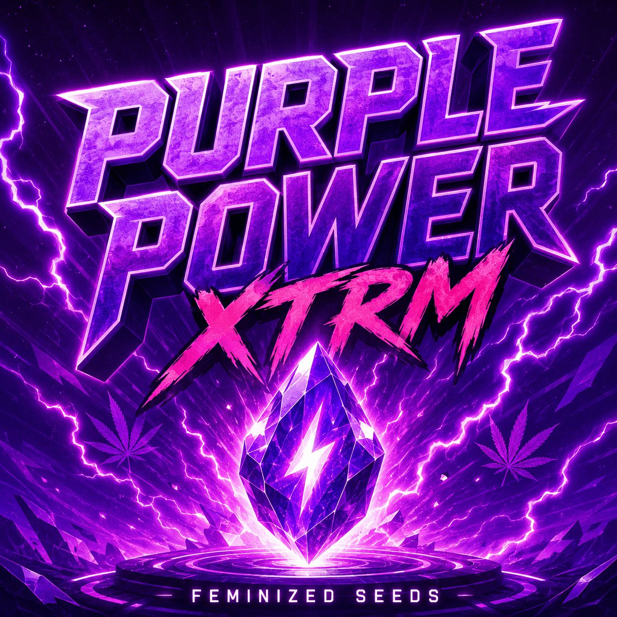 Graines féminisées Purple Power XTRM - photo 3