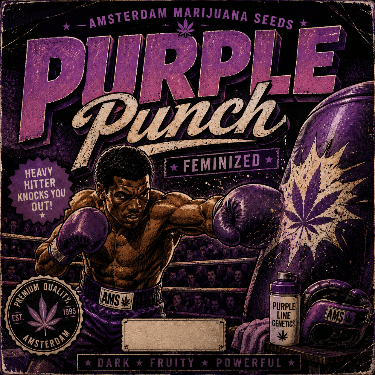 Purple Punch Feminiserade frön - photo 3