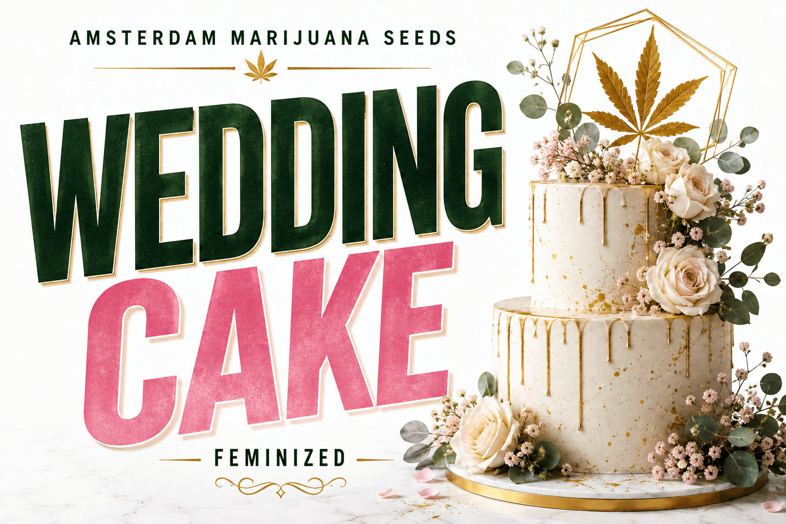 Graines féminisées Wedding Cake - photo 4