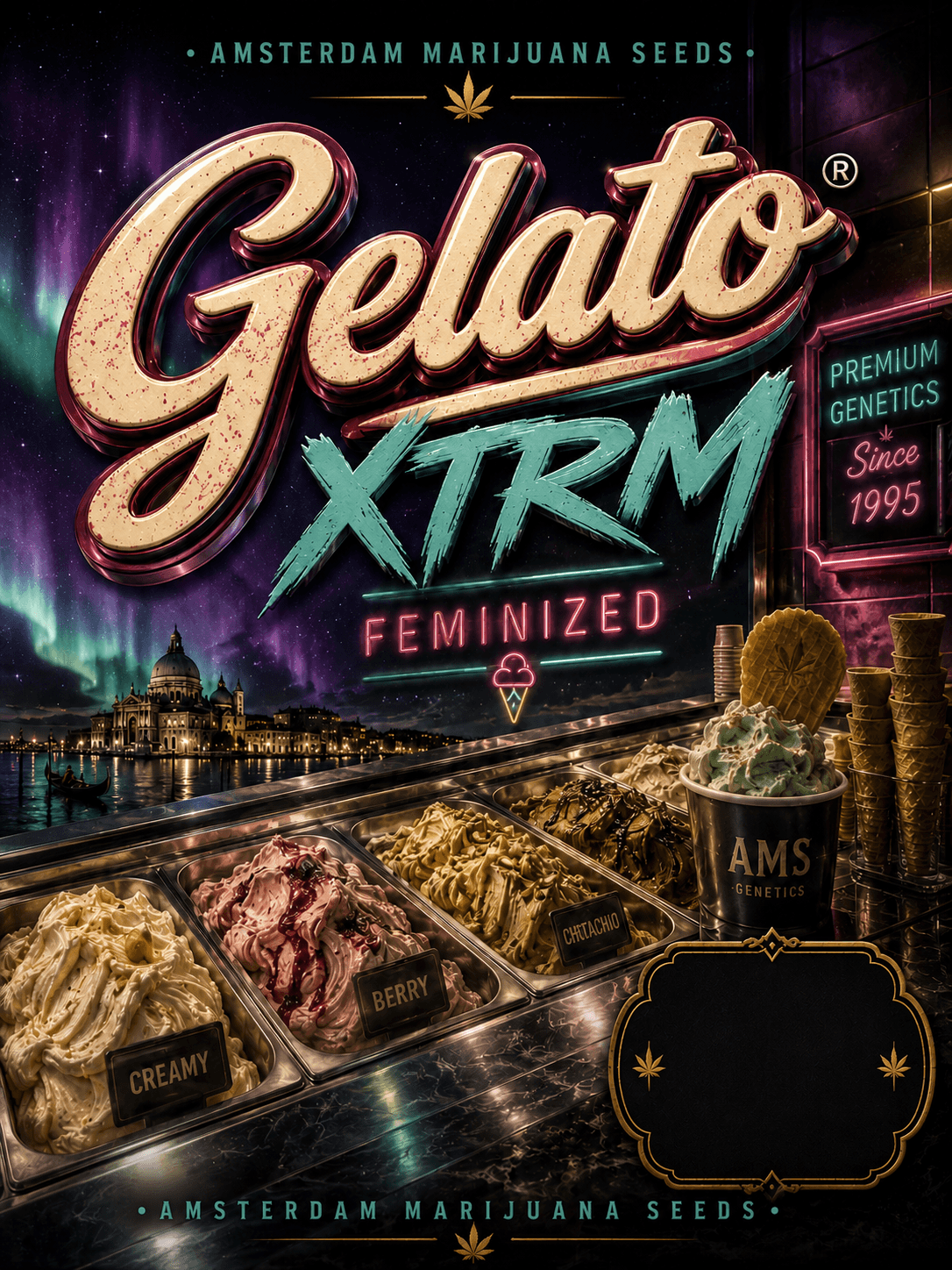 Graines féminisées Gelato XTRM ® - photo 5