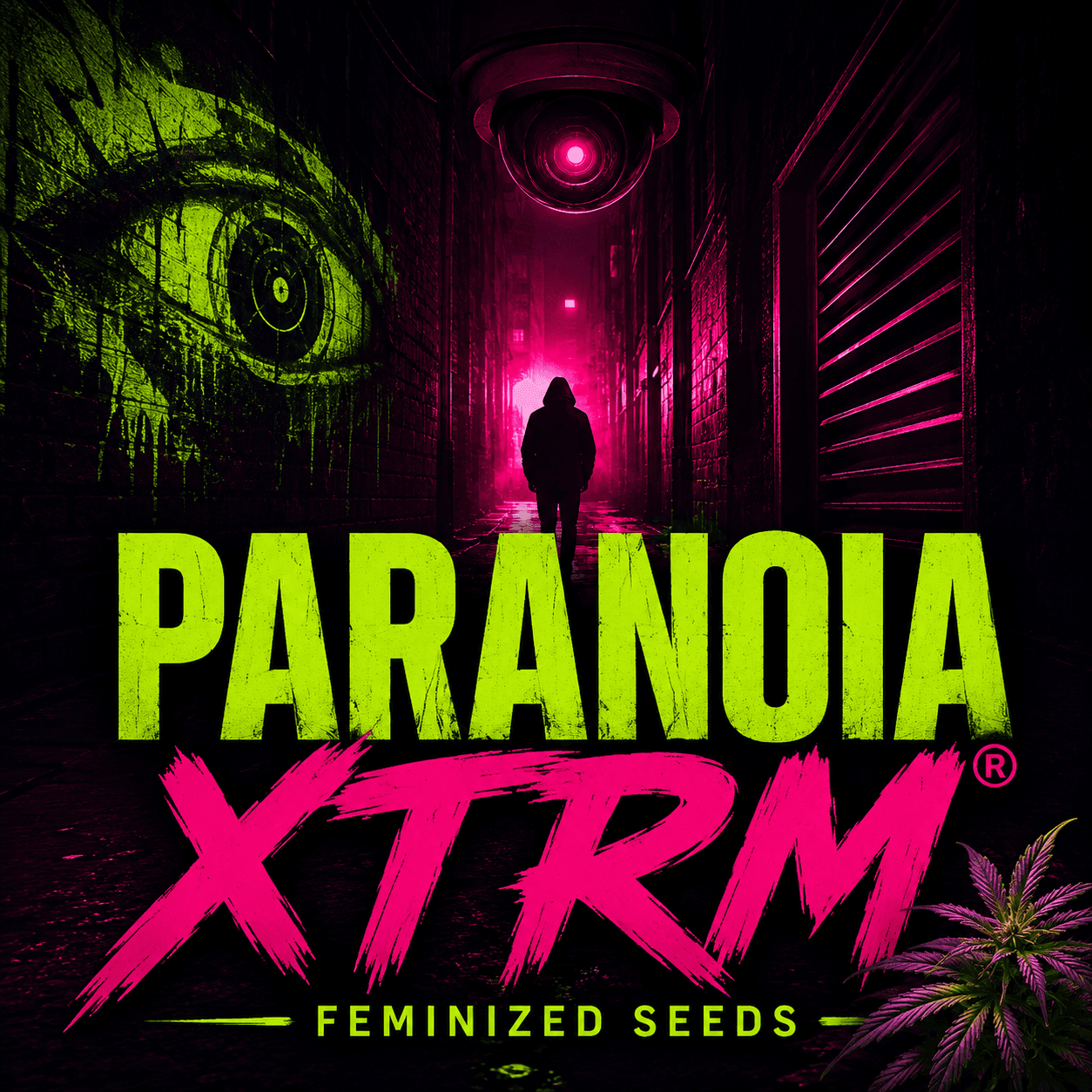 Graines féminisées Paranoia XTRM® - photo 2
