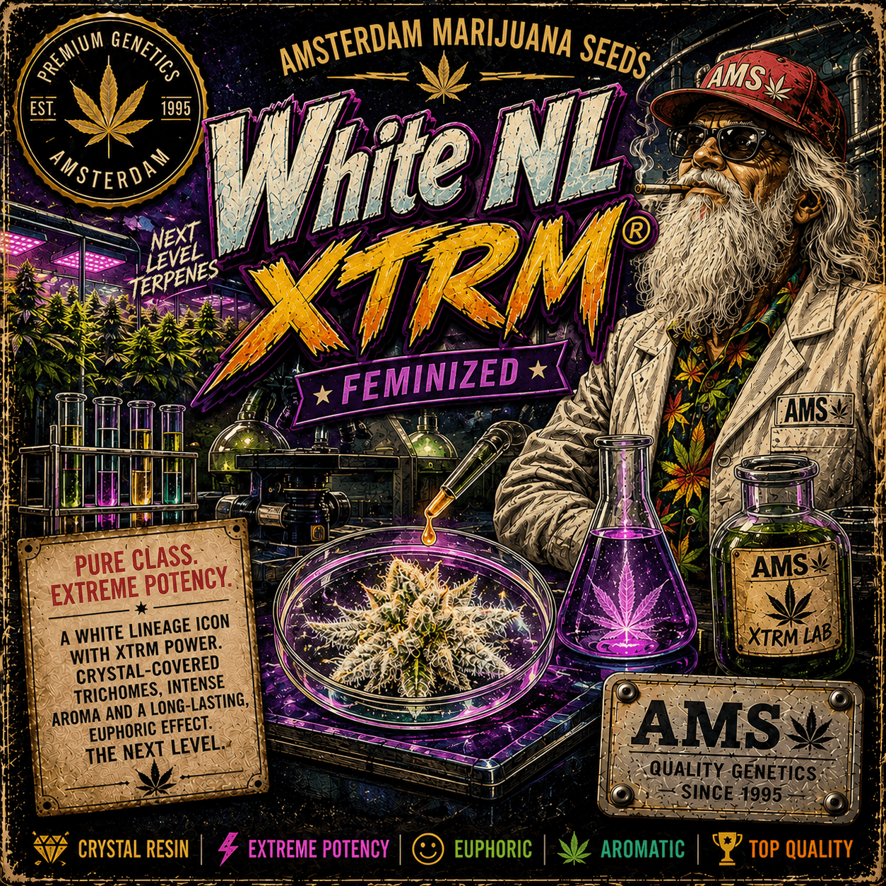 Graines féminisées White NL XTRM ® - photo 7