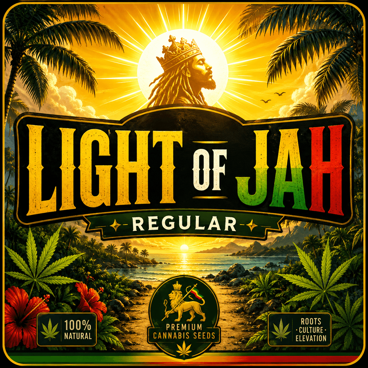 Graines régulières Light of Jah - photo 6