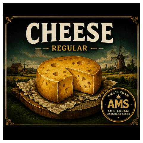 Graines Cheese - photo 3
