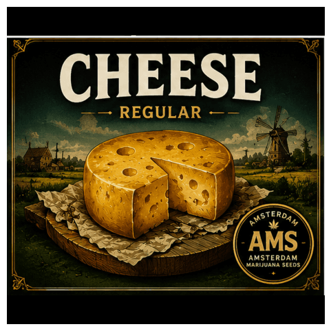 Graines Cheese - photo 4