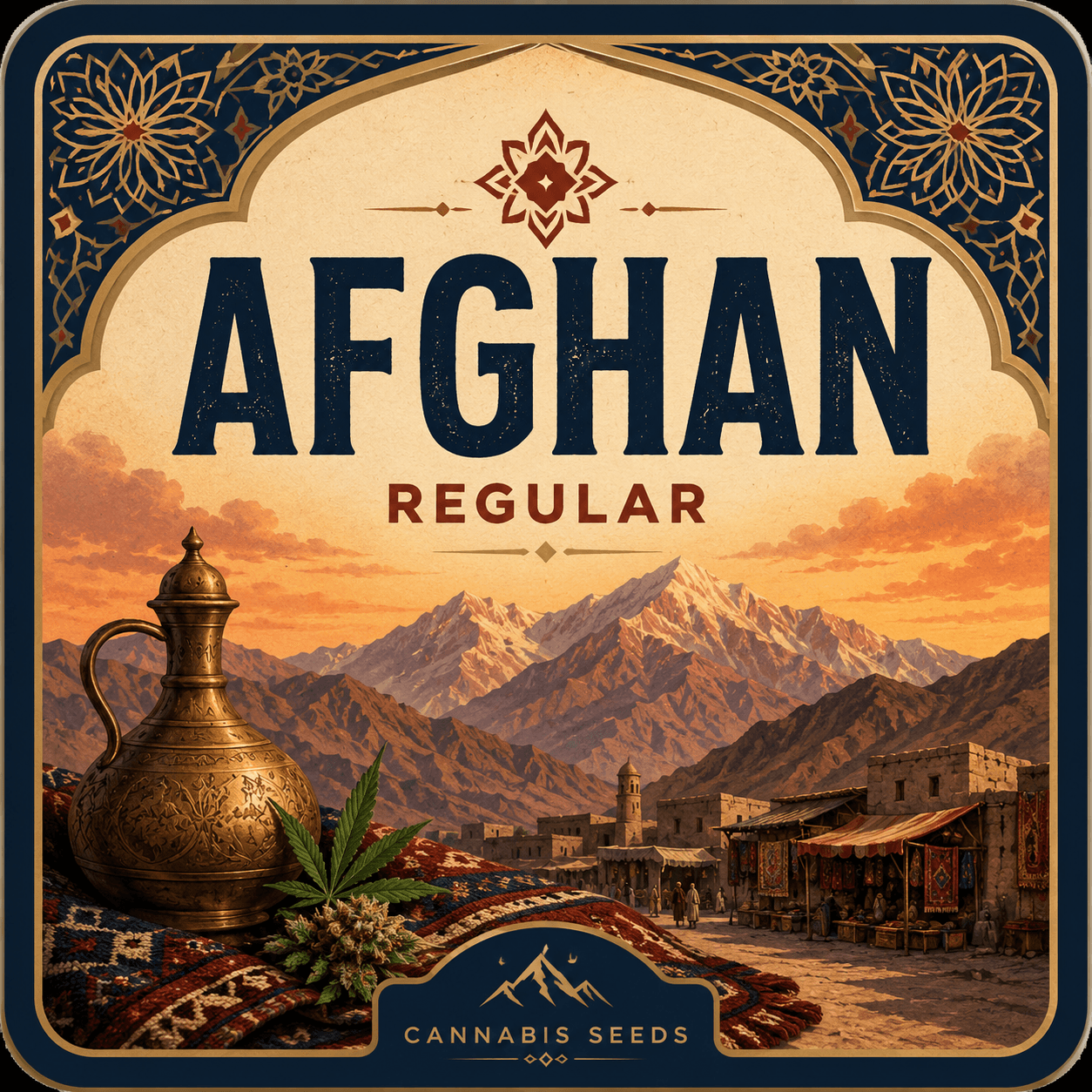 Graines régulières Afghan - photo 3