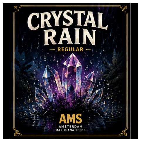 Graines régulières Crystal Rain - photo 3