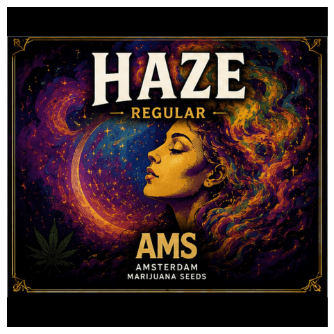 Haze Regular Seeds - photo 4