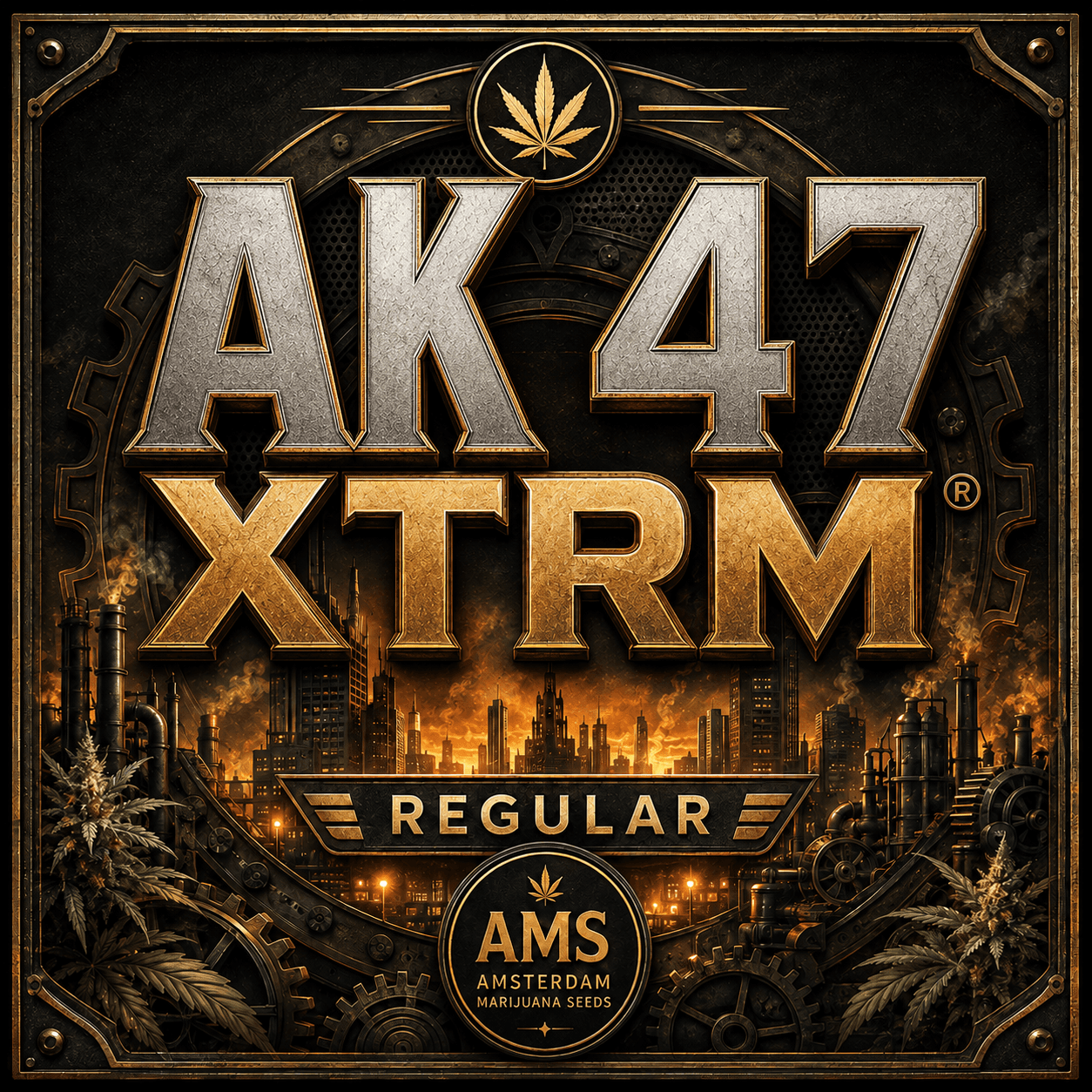 AK 47 XTRM ® Graines régulières - photo 3