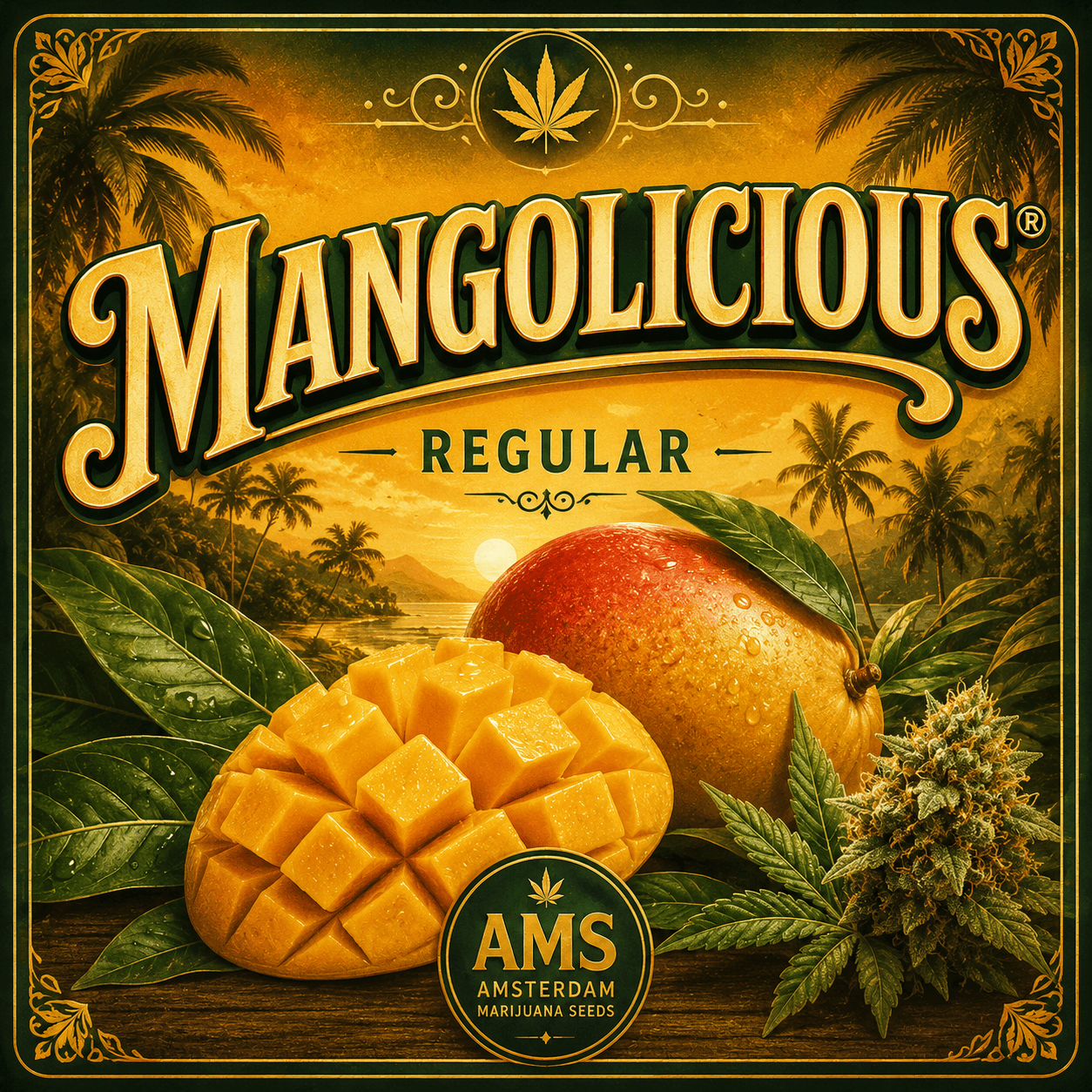 Graines régulières Mangolicious ® - photo 3