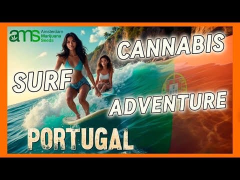 Surf, Cannabis & Adventure in Portugal