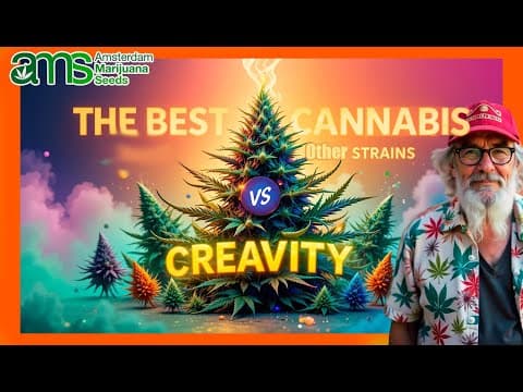 The Best Cannabis for Creativity vs Other Strains | What Makes It Special?