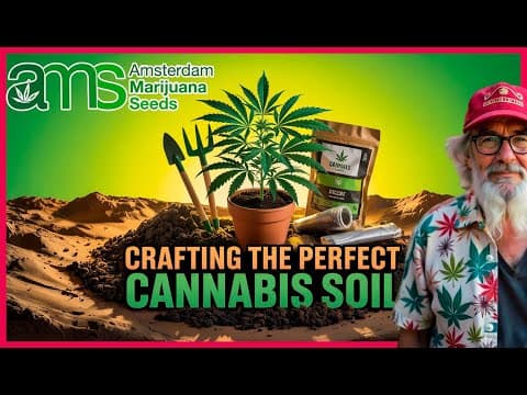 Grow the Best Soil for Cannabis at Home: Expert Tips