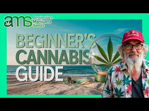 The Best Cannabis Strains to Relax If You're a Beginner
