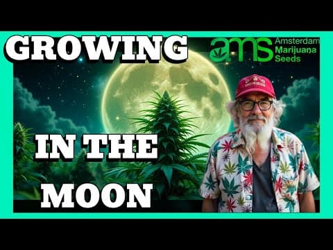 Growing Marijuana with the Lunar Calendar