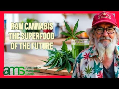 Raw Cannabis: The Superfood of the Future