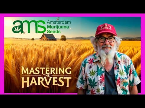Perfect Harvest: When & How to Harvest Marijuana | Expert Tips