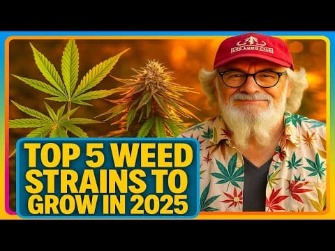 TOP 5 Marijuana Strains to Grow in 2025 For Max Yields!