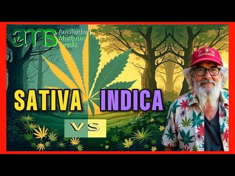 Indica vs Sativa: Key Differences, Effects, and Benefits Compared