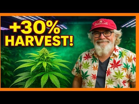 Cannabis et CO2 – Comment augmenter votre rendement