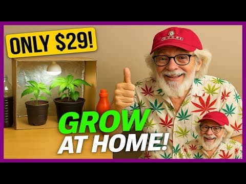Cannabis at Home Without Equipment | Simple & Affordable Guide