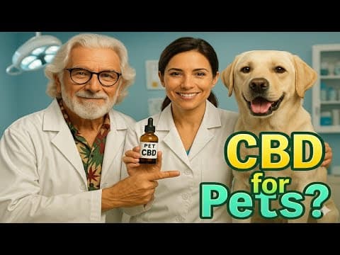 Is CBD Safe for Your Dog or Cat? What Every Pet Owner Should Know