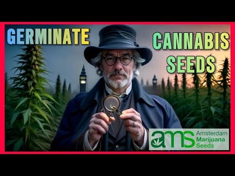 Germinating Cannabis Seeds in Various Mediums