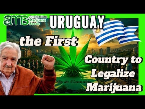 Uruguay: The First Country to Legalise Marijuana