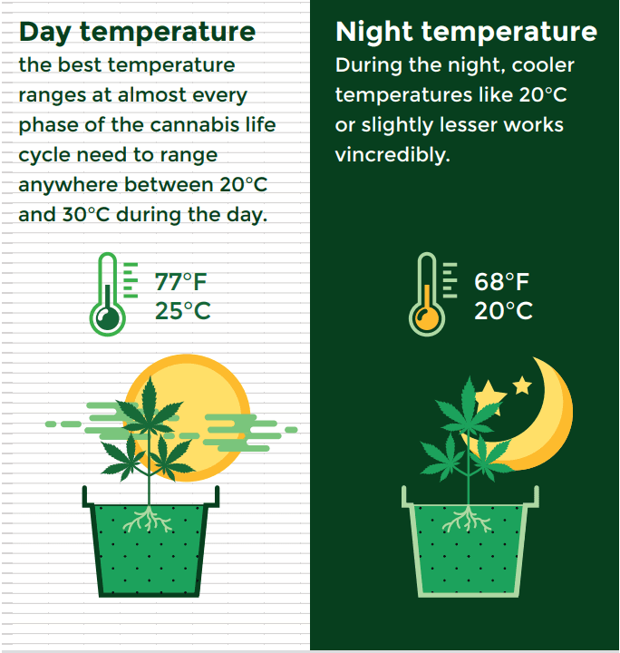 Temperature control for a cannabis grow room