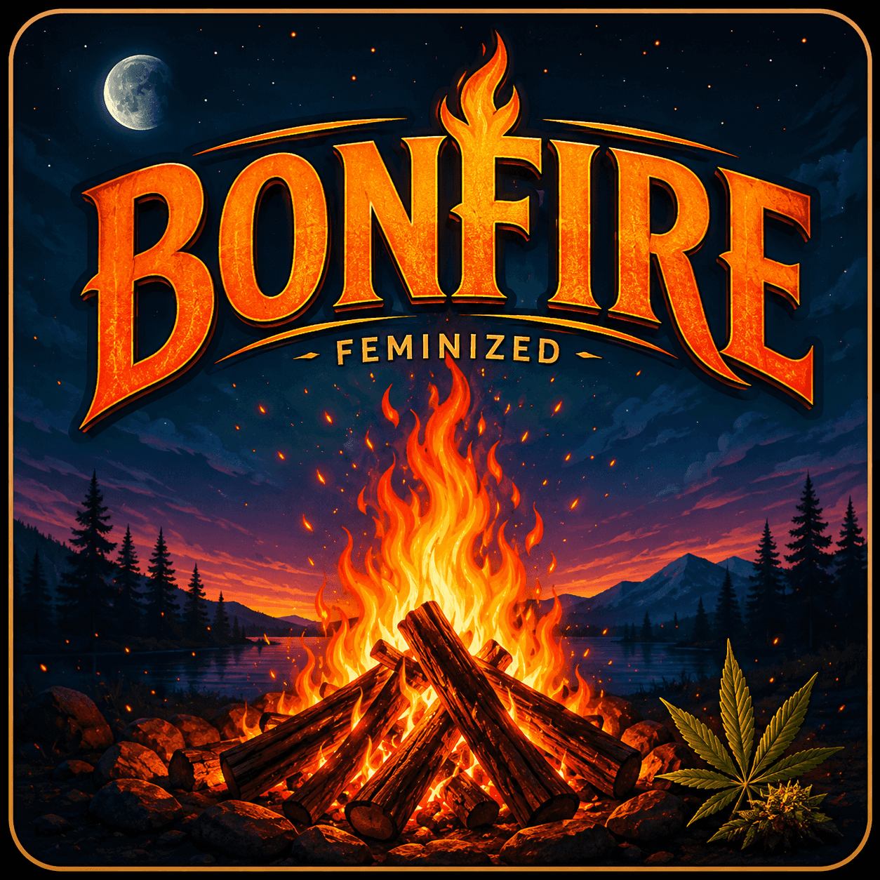 Bonfire Semi Femminizzati