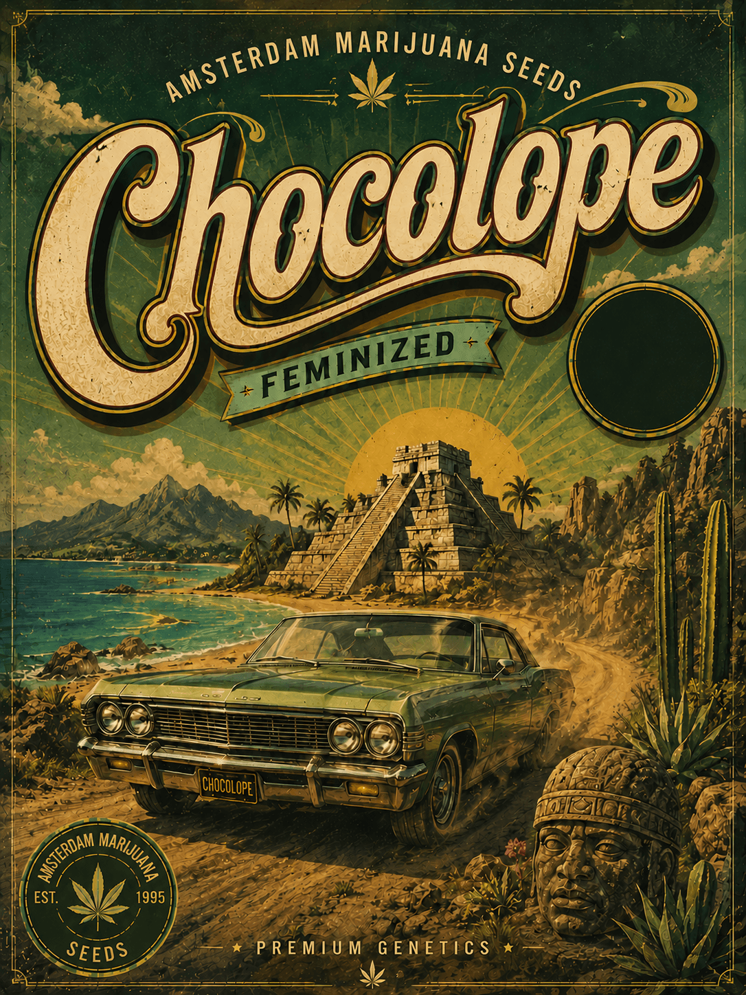 Chocolope Feminiserade frön - photo 4