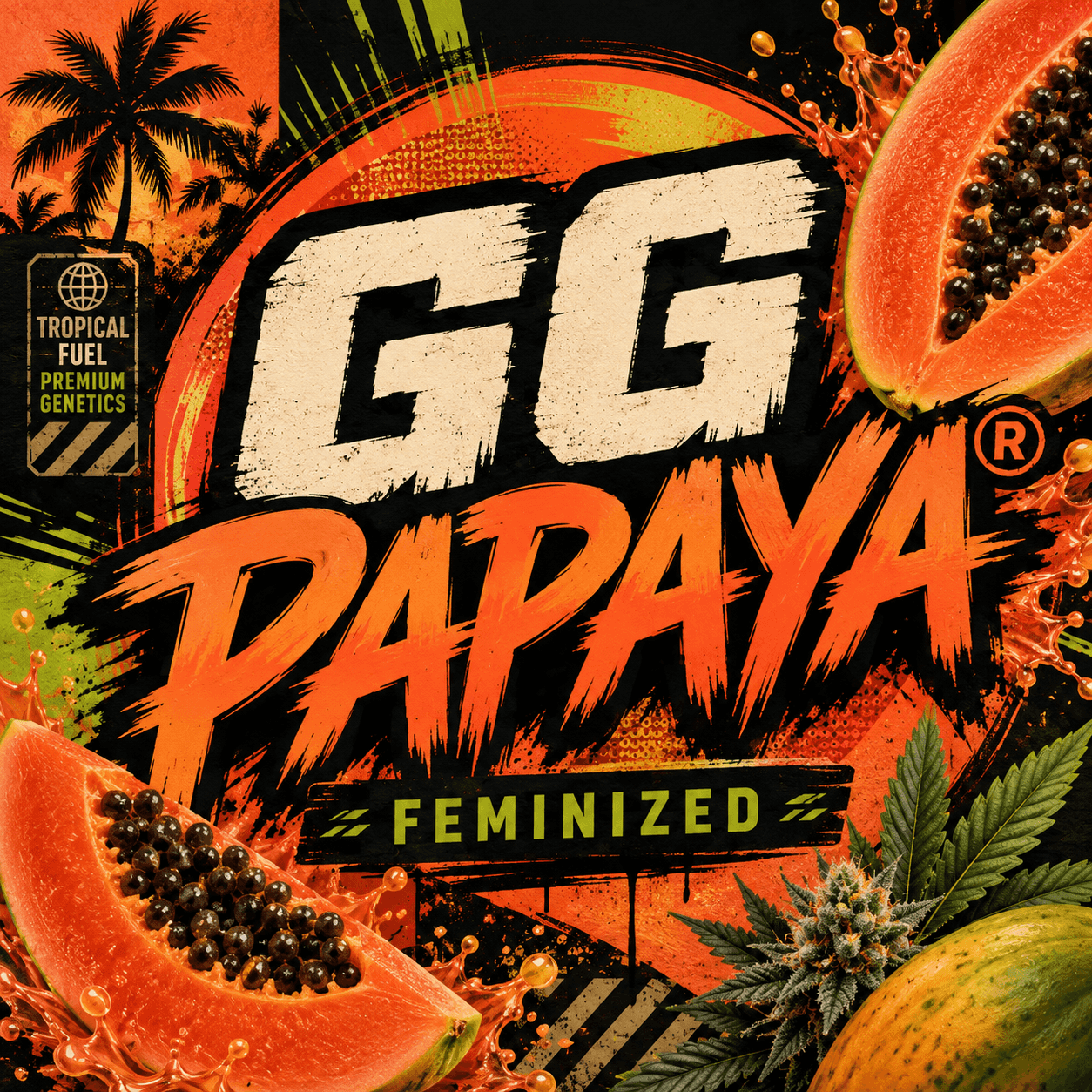 GG Papaya® Feminized Seeds