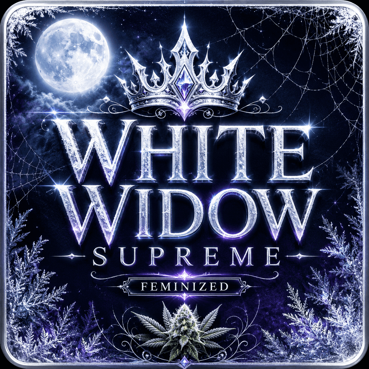 White Widow Supreme Semi Femminizzati