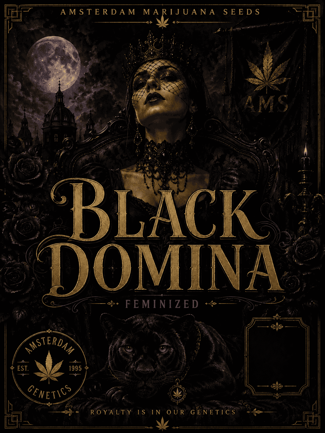 Graines féminisées Black Domina