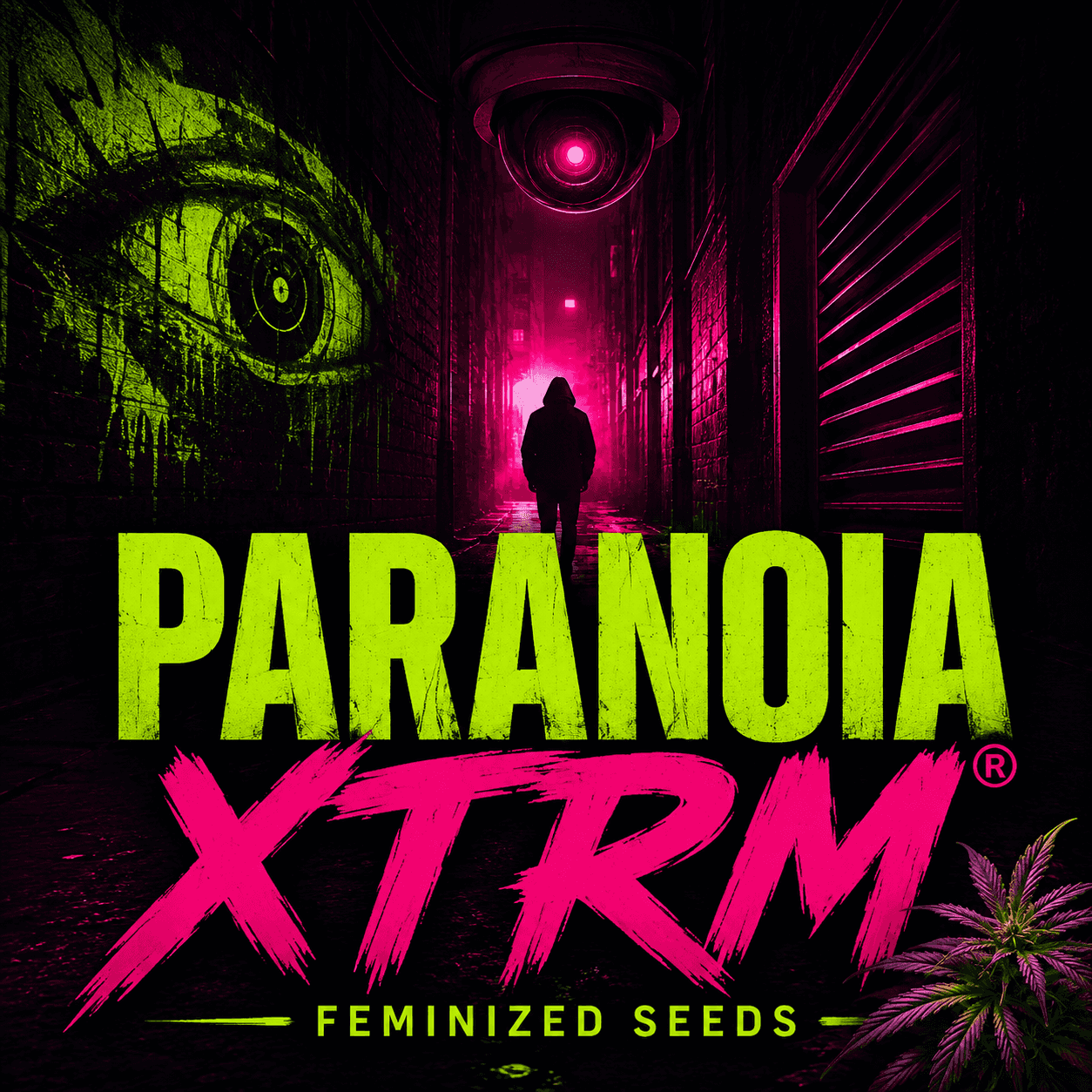 Paranoia XTRM® Feminized Seeds