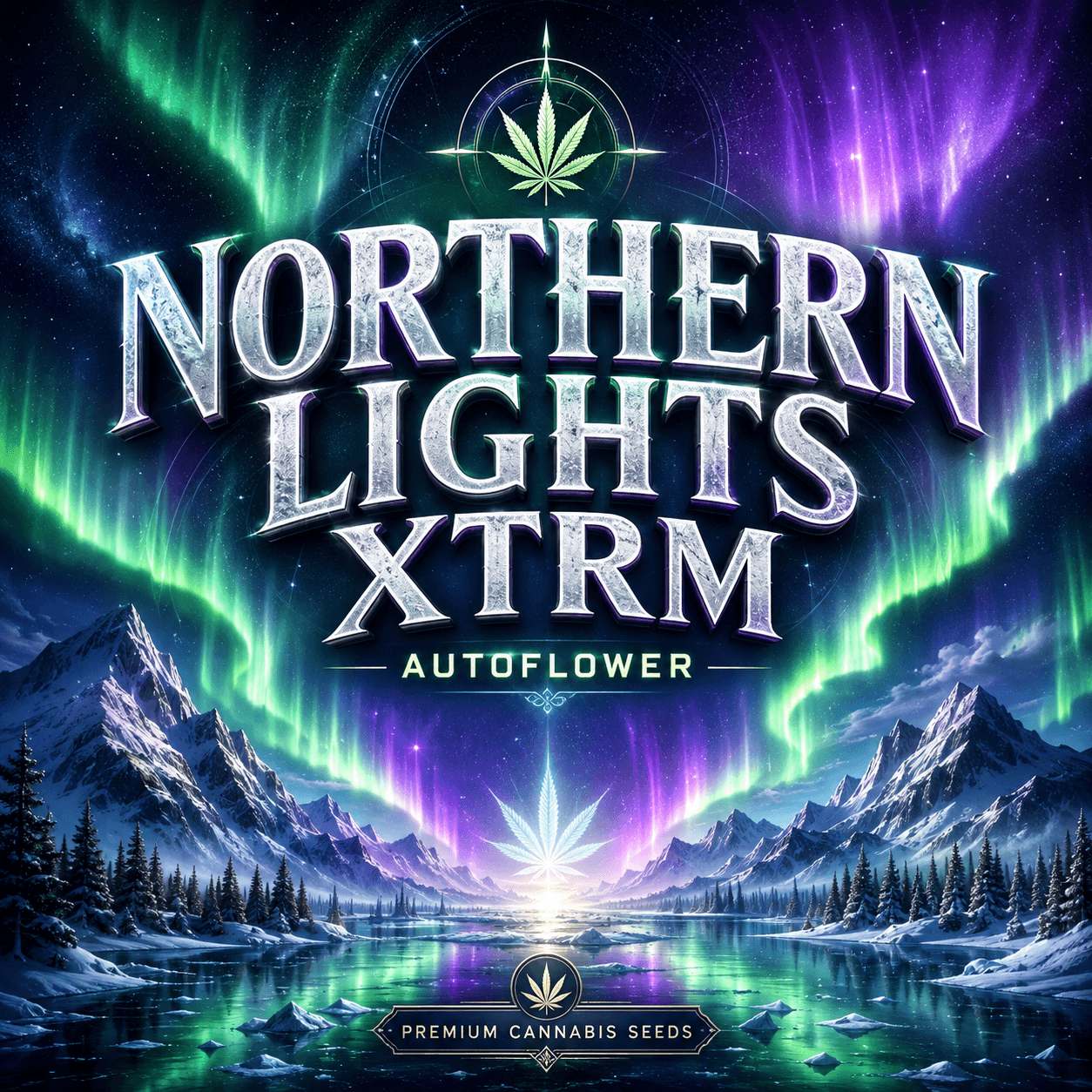 Northern Lights XTRM ® Autoflower Seeds