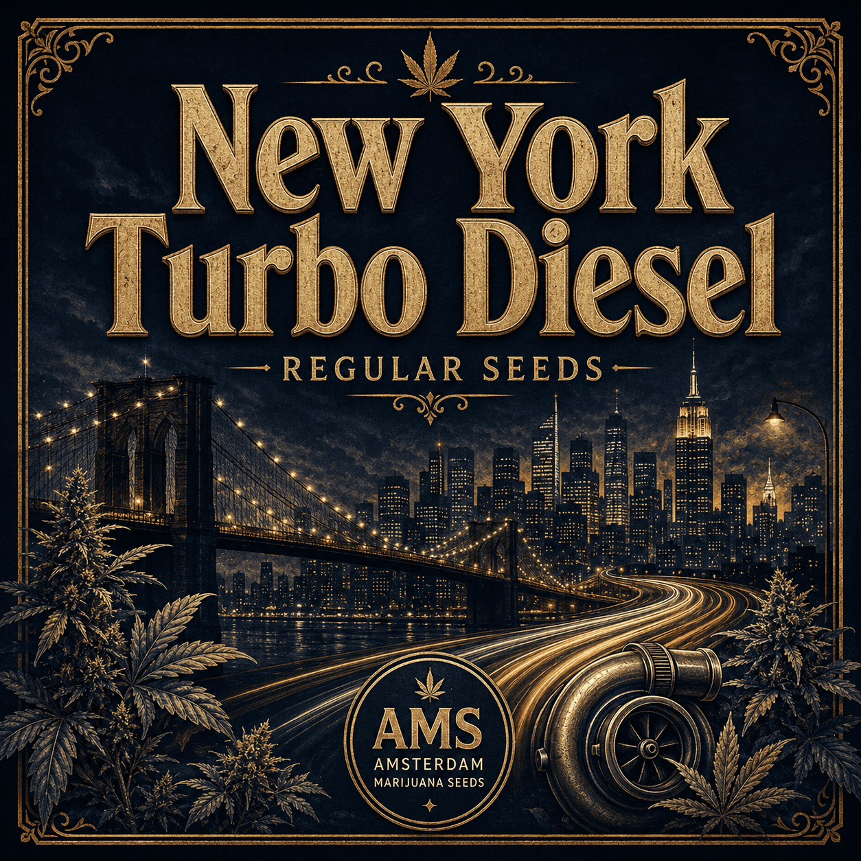 New York Turbo Diesel Regular Seeds